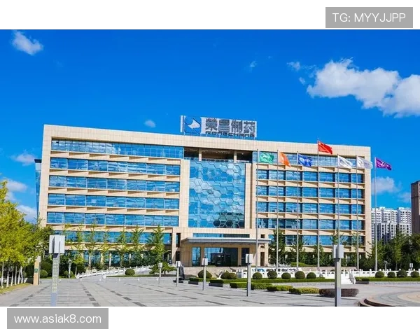 凯发K8.com官方入口安全保障措施详解,保障玩家个人信息与资金安全 凯发K8.com官方入口安全保障措施详解,保障玩家个人信息与资金安全